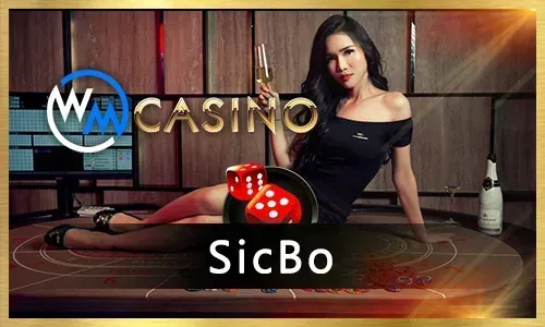 Secure online casino platform with customer support